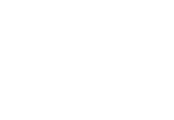 NJF LOGO SYMBOL 2025 hvit gjennomsiktig