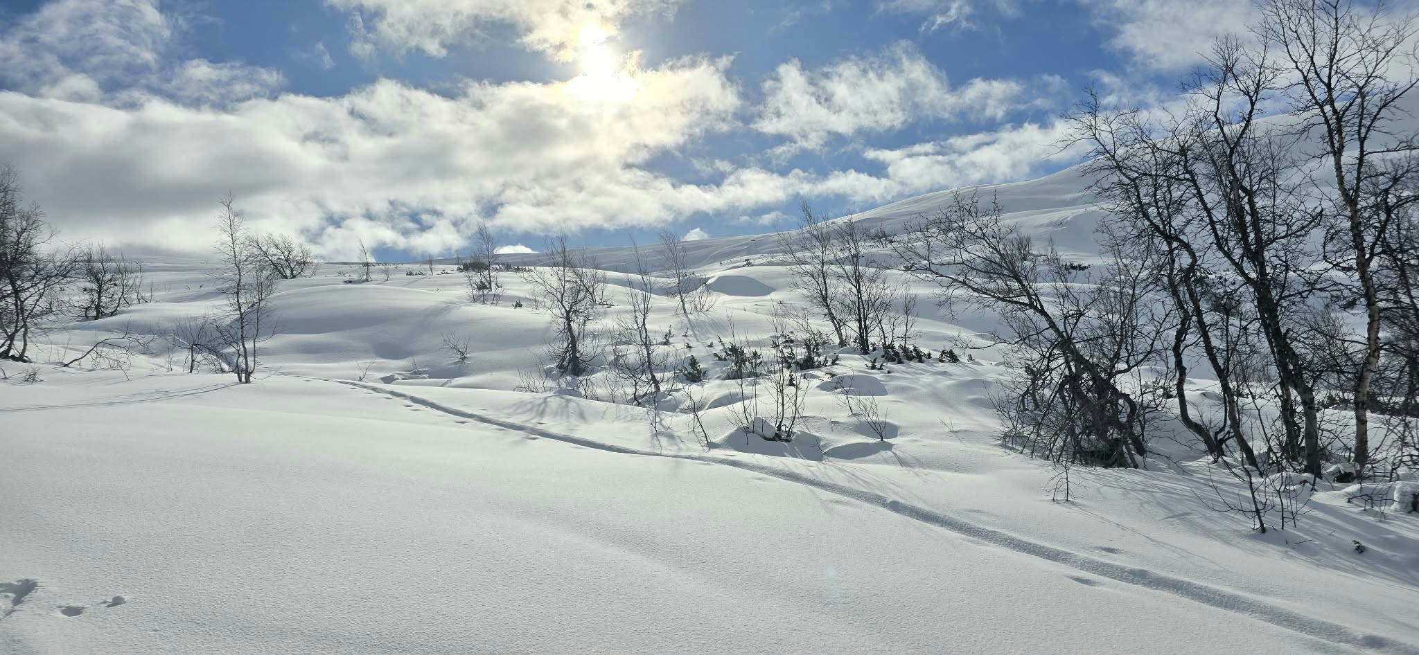 Ustaoset (16)